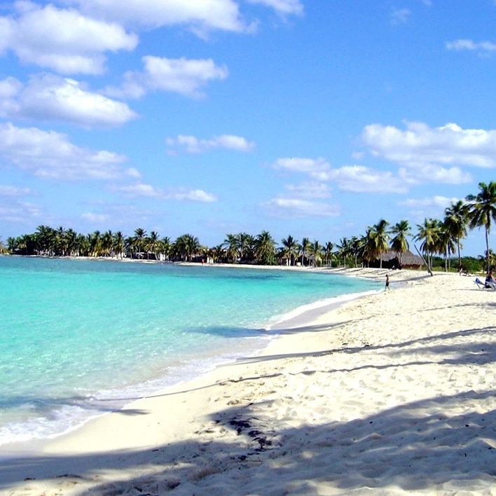 241a34_3f614439b56340c1bfe9659d77c5d239~mv2